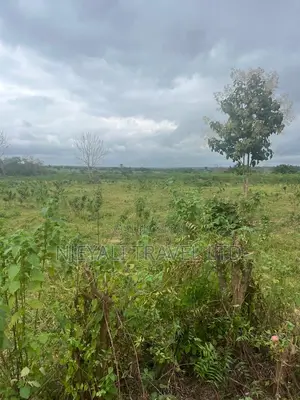 Farmland For Lease