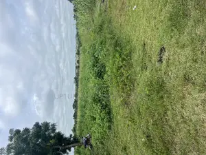 700 Acres of Land for Sale at Cheaper Rate Ogun Waterside