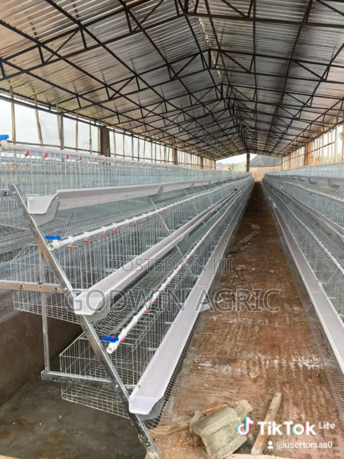 Galvanized Battery Bird Cage