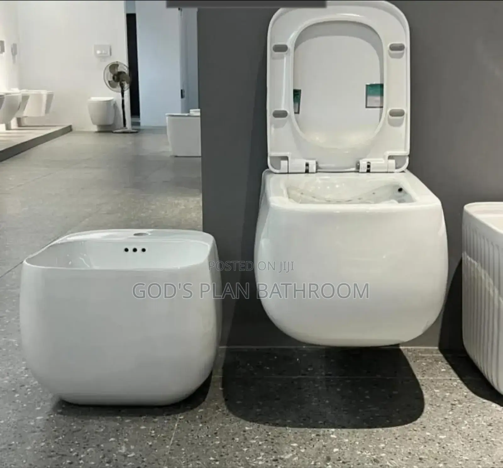 Hanging Executive Wc With Hanging Basin