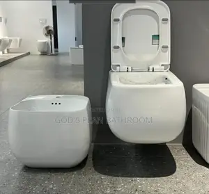 Hanging Executive Wc With Hanging Basin