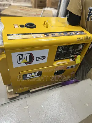 Cat Soundproof Generator 100% Copper 10kva