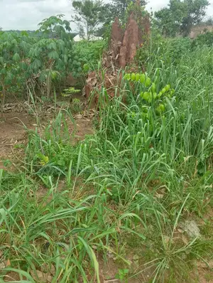 100ft by 100ft (5 Plots of Land)