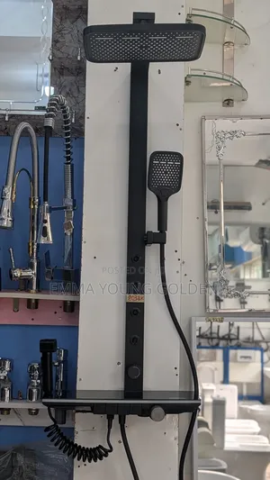 Executive Standing Shower Multifunction
