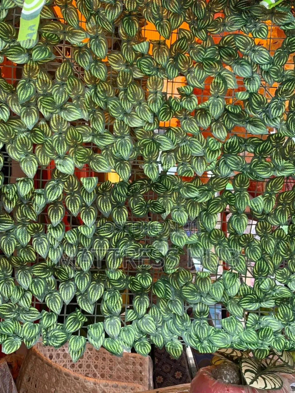 Beautiful Fence Mat
