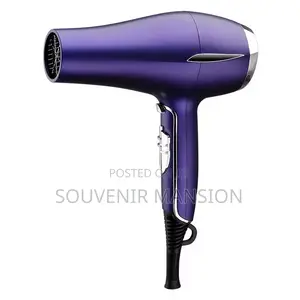 3000 Hair Dryer Watts