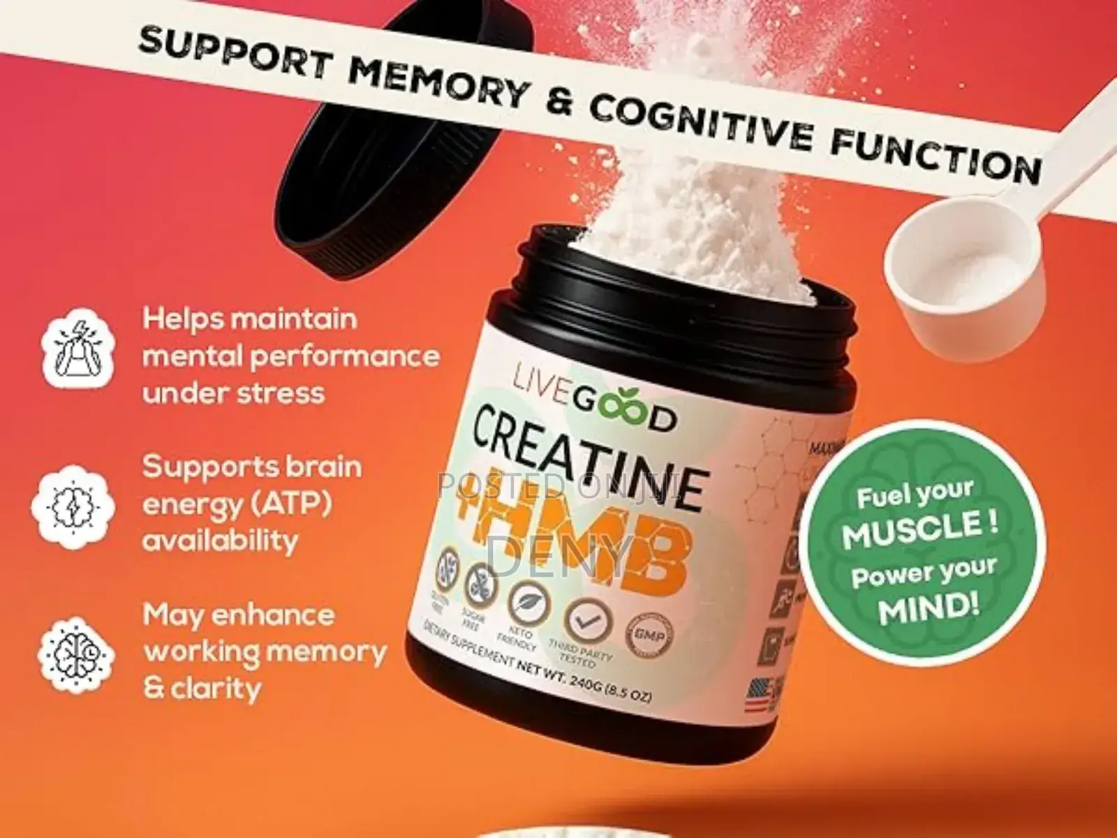 Live Good Creatine Powder 240g