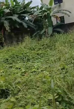 Already Fenced 100 by 50 for Sale Off Jakpa Road Effurun
