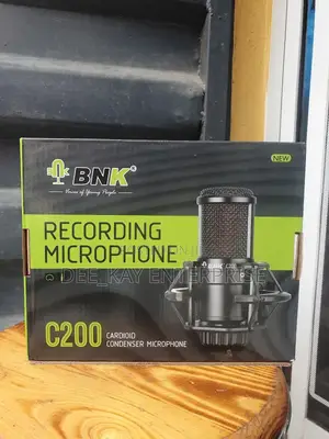 BNK C200 Condenser Recording Microphone
