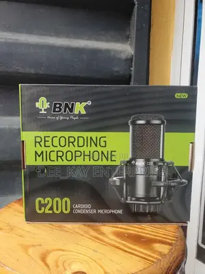 BNK C200 Condenser Recording Microphone