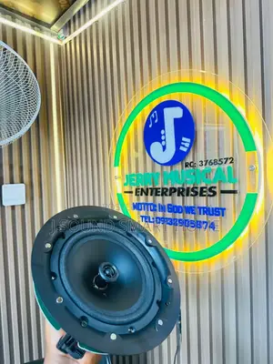 Quality Ceiling Speakers With Woofer