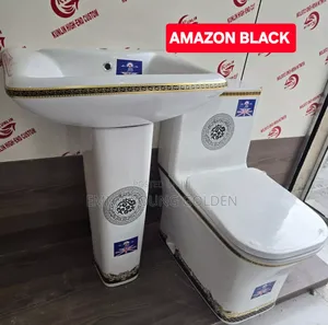 Luxurious Amazon Black Water Closet