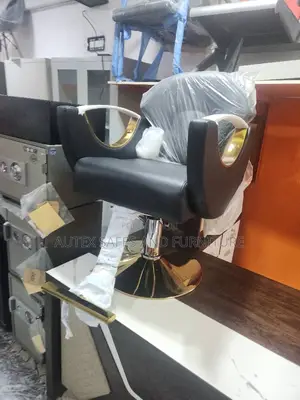 Salon Chair