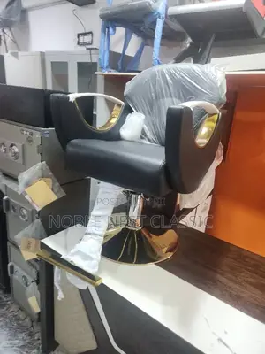 Salon Chair