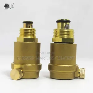 1" Brass Automatic Air Vent Valve