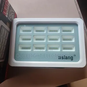 Original Slang Floodlight