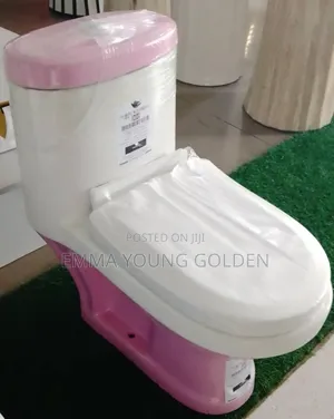 Children Watercloset