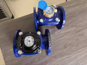 Water Flow Meter