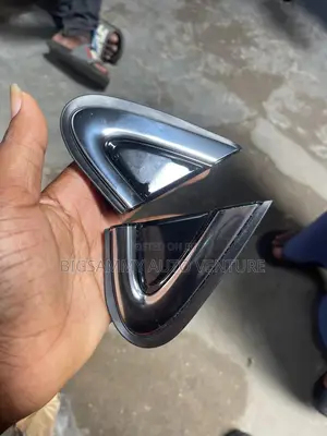 Rx 350 2017 Side Mirror Pad / Cover