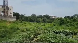 Land for Sale: Plot 333 Size:2735sqm Tarred Road C of O