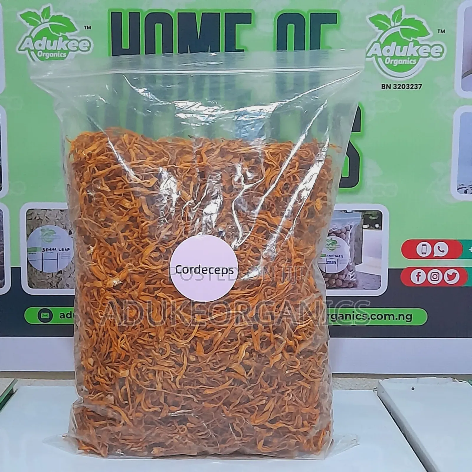 Cordycep Mushroom 100g