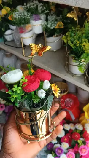 Butterfly Available