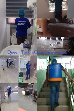 Professional Cleaning Services