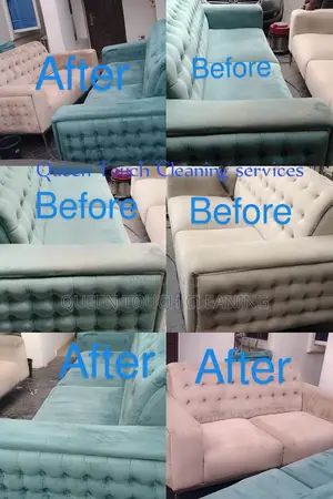 Professional Cleaning Services