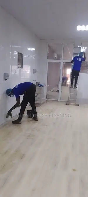 Professional Cleaning Services