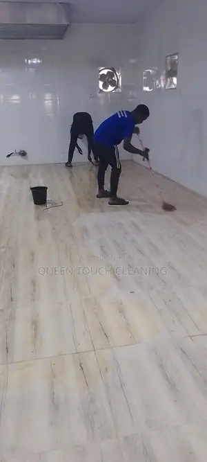 Professional Cleaning Services