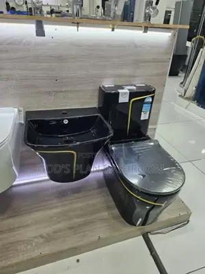 Uk Executive Water Closet With Hanging Basin