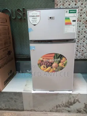 New Lg Double Door Fridge 110l Super Cooling Energy Saving Warranty