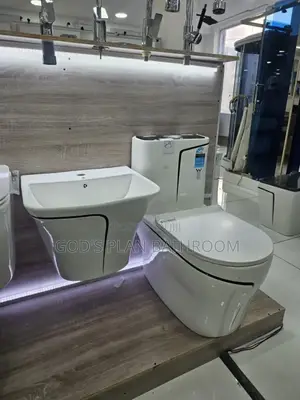 Executive Black Line Water Closet With Hanging Basin