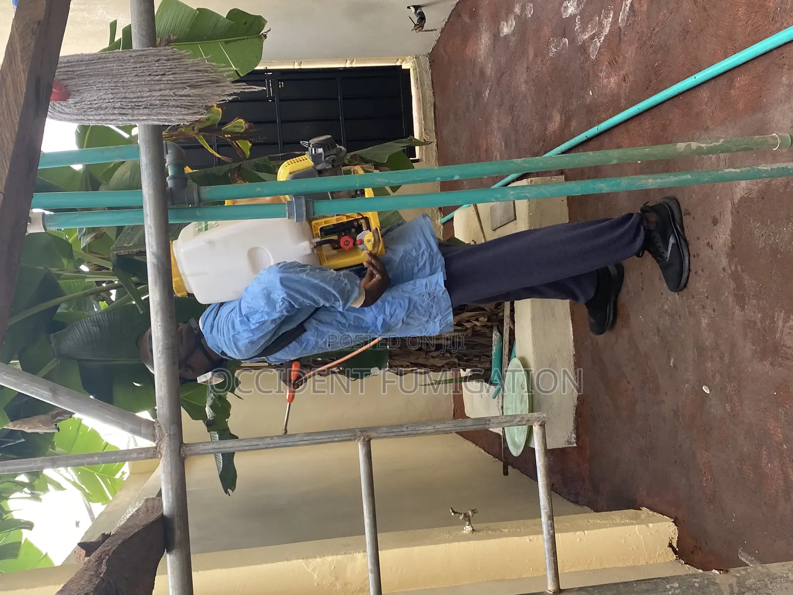 Fumigation and Pest Control/ Cleaning