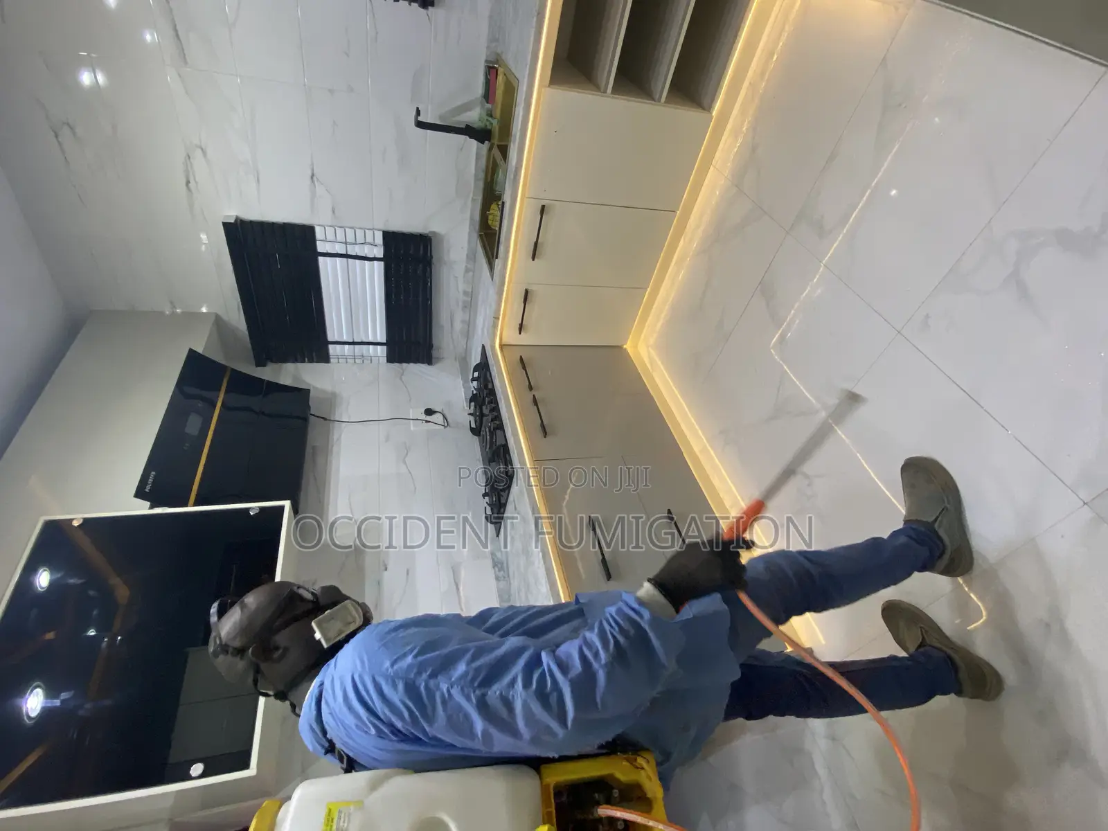 Fumigation and Pest Control/ Cleaning