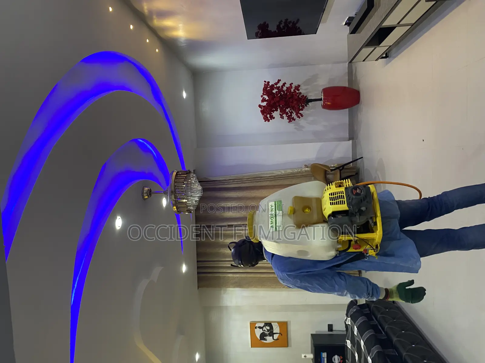 Fumigation and Pest Control/ Cleaning