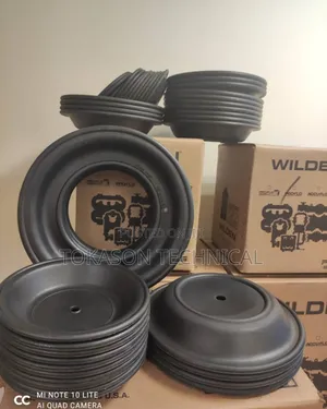 Wilden Air-Operated Double-Diaphragm (Aodd