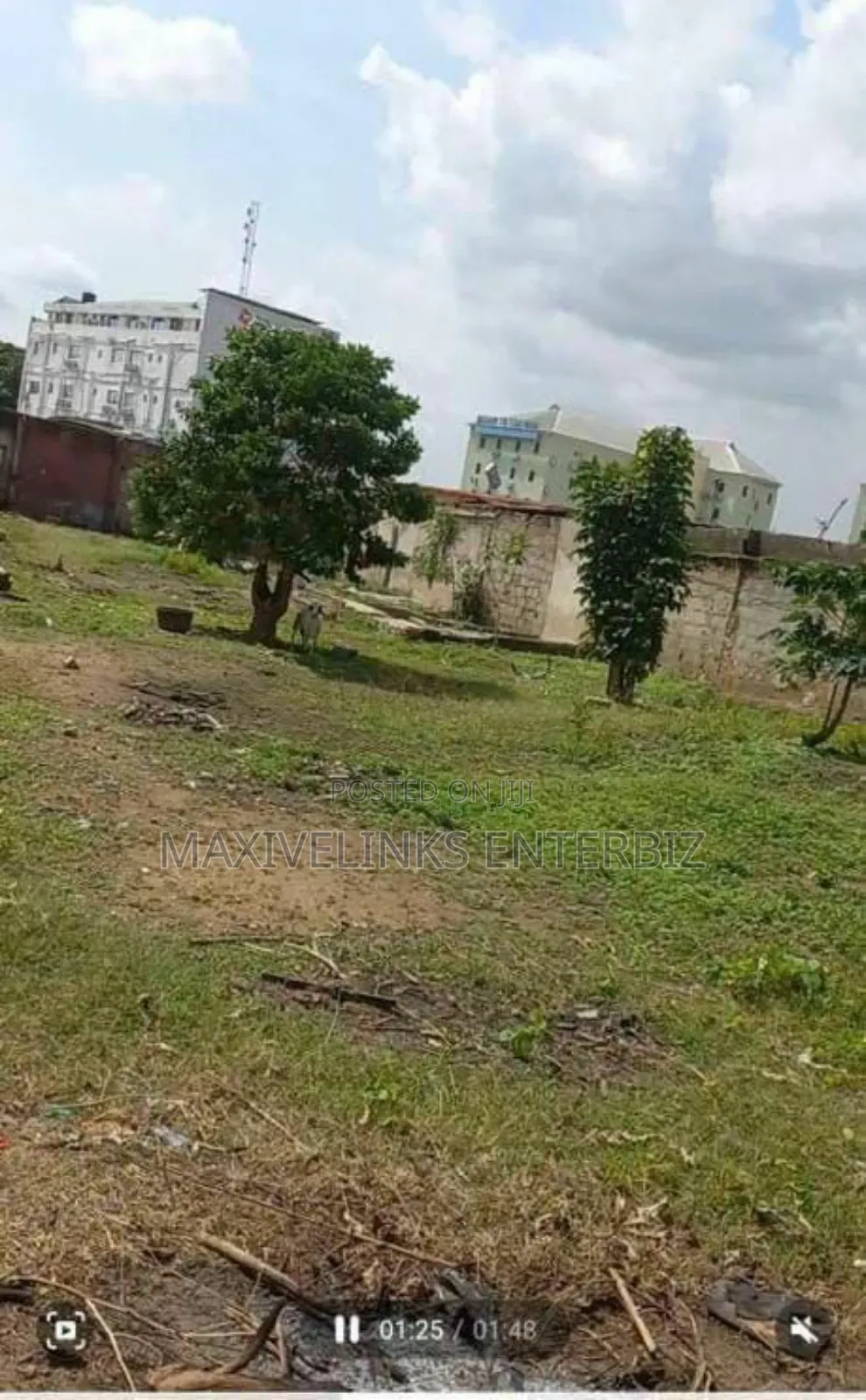 Certificate of Occupancy