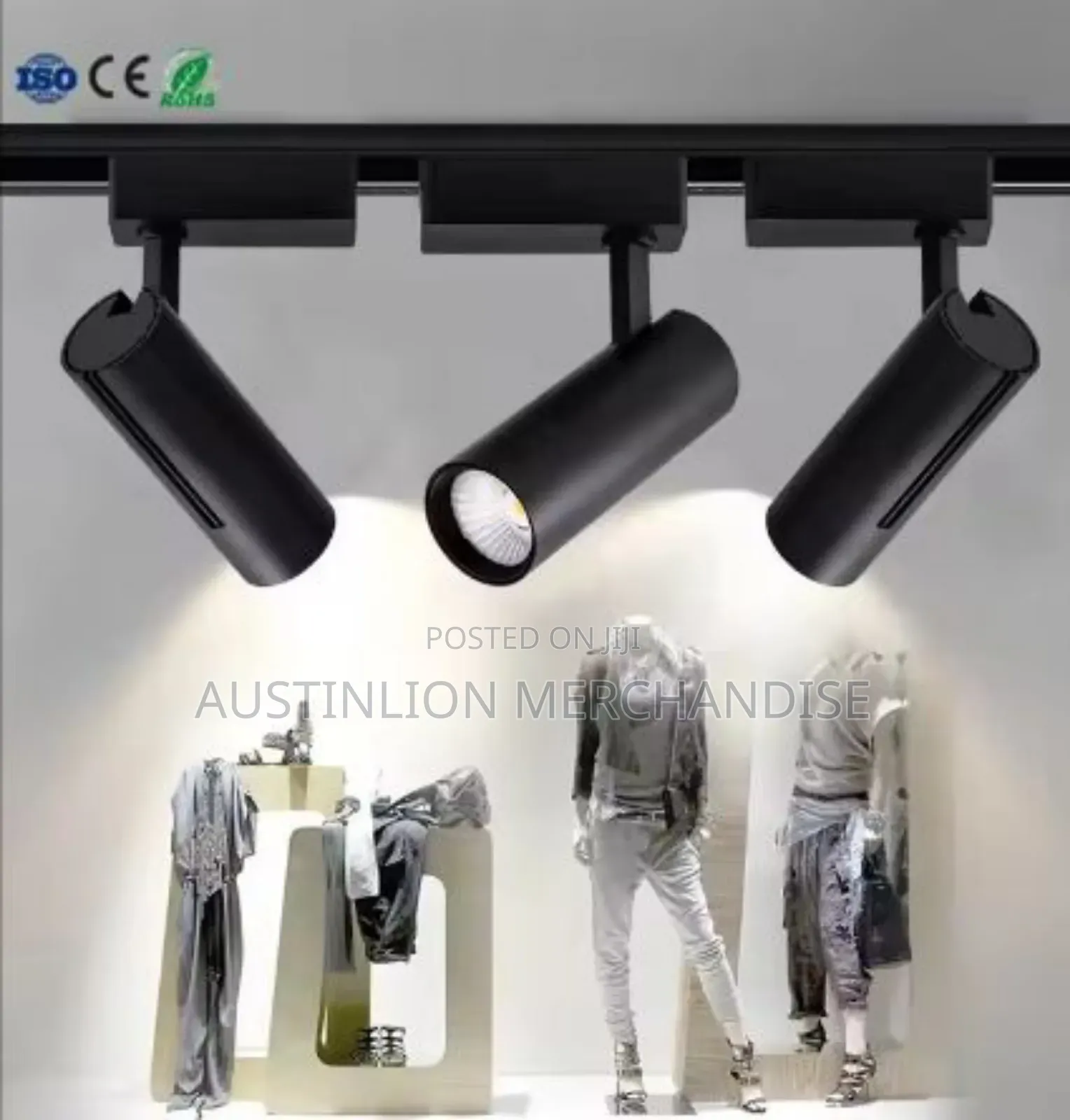 Track Light Fitting