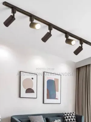 Track Light Fitting