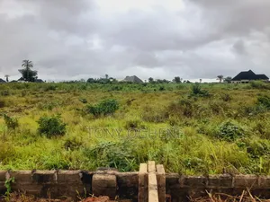 Plots And Acres Of Lands For Sale At Ubi District, Obehie, Abia State