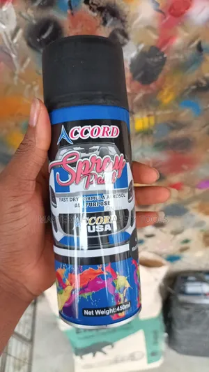 Accord Spray Paint