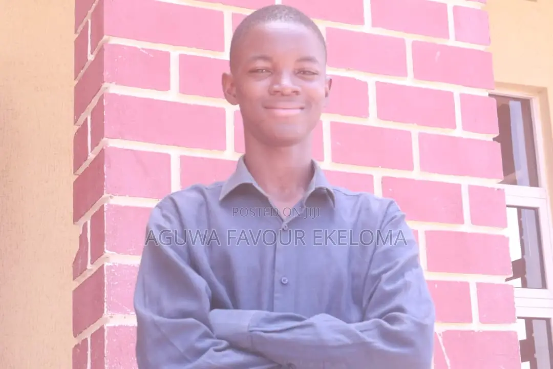 Professional Web Developer