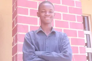 Professional Web Developer