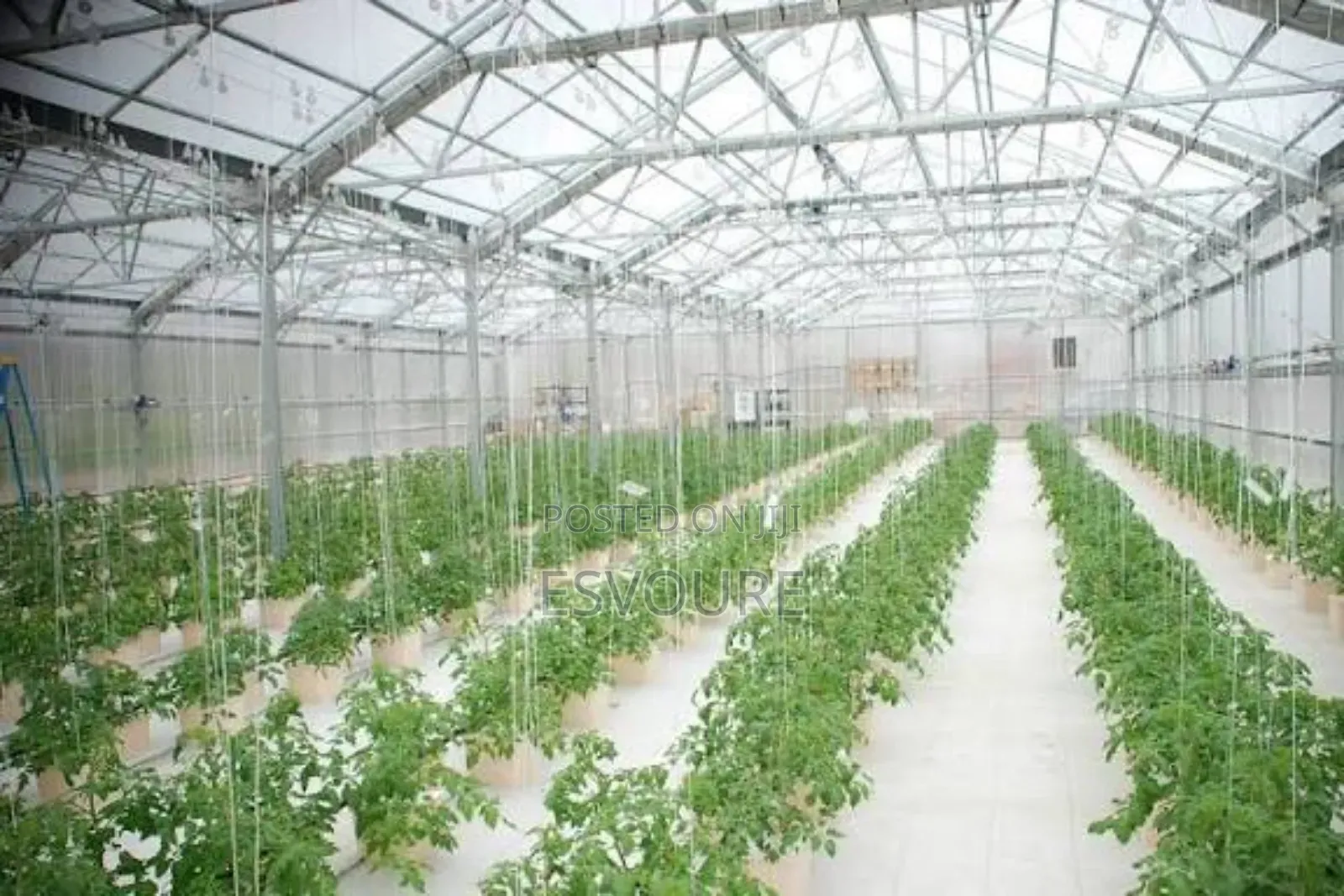 Drip Irrigation Installation