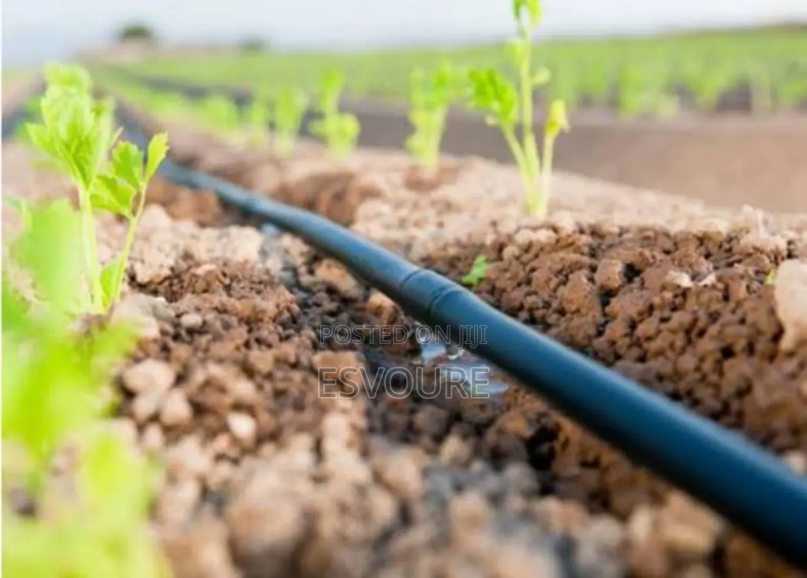 Drip Irrigation Installation