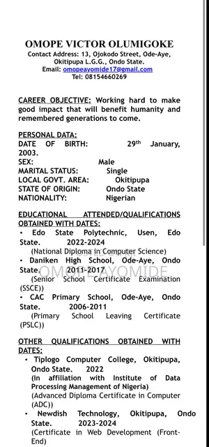 Advertising Marketing CV
