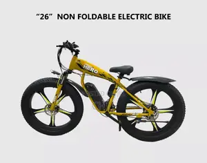 New Arrival Electric Bicycle Available for 30year and 80year.