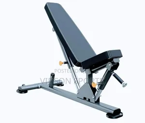 Adjustable Commercial Sit Up Bench