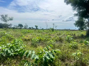20 Acres of Fertile Farmland – Iseyin-Ibadan Expressway, Oyo State